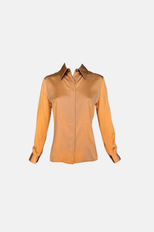 Long Sleeve Shiny Blouse