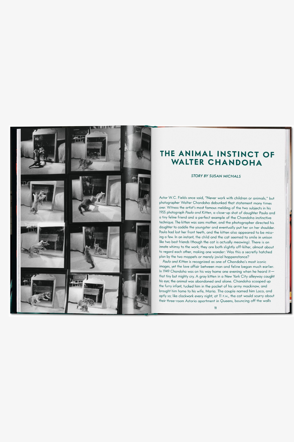 Walter Chandoha. Cats. Photographs 1942–2018