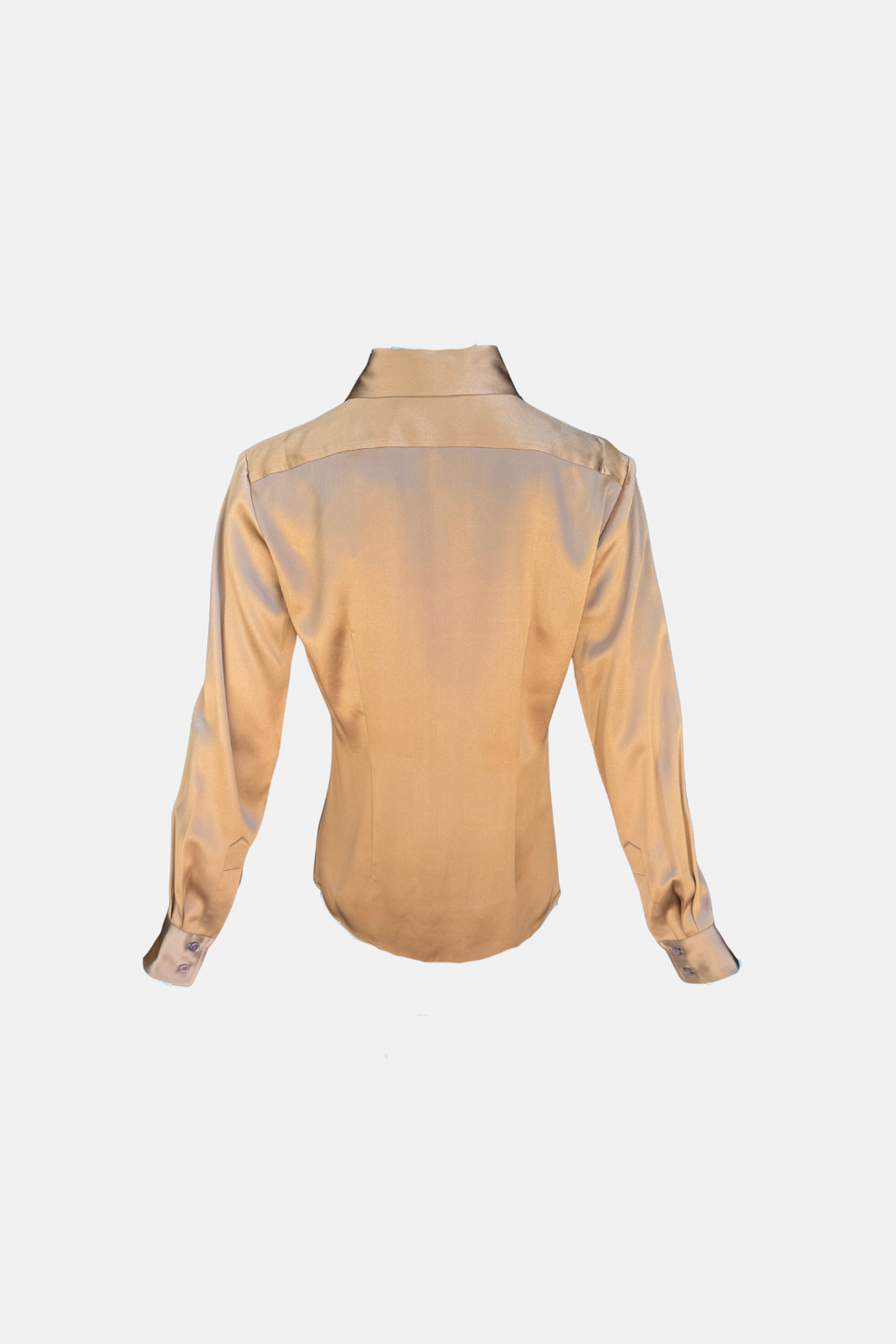 Long Sleeve Shiny Blouse
