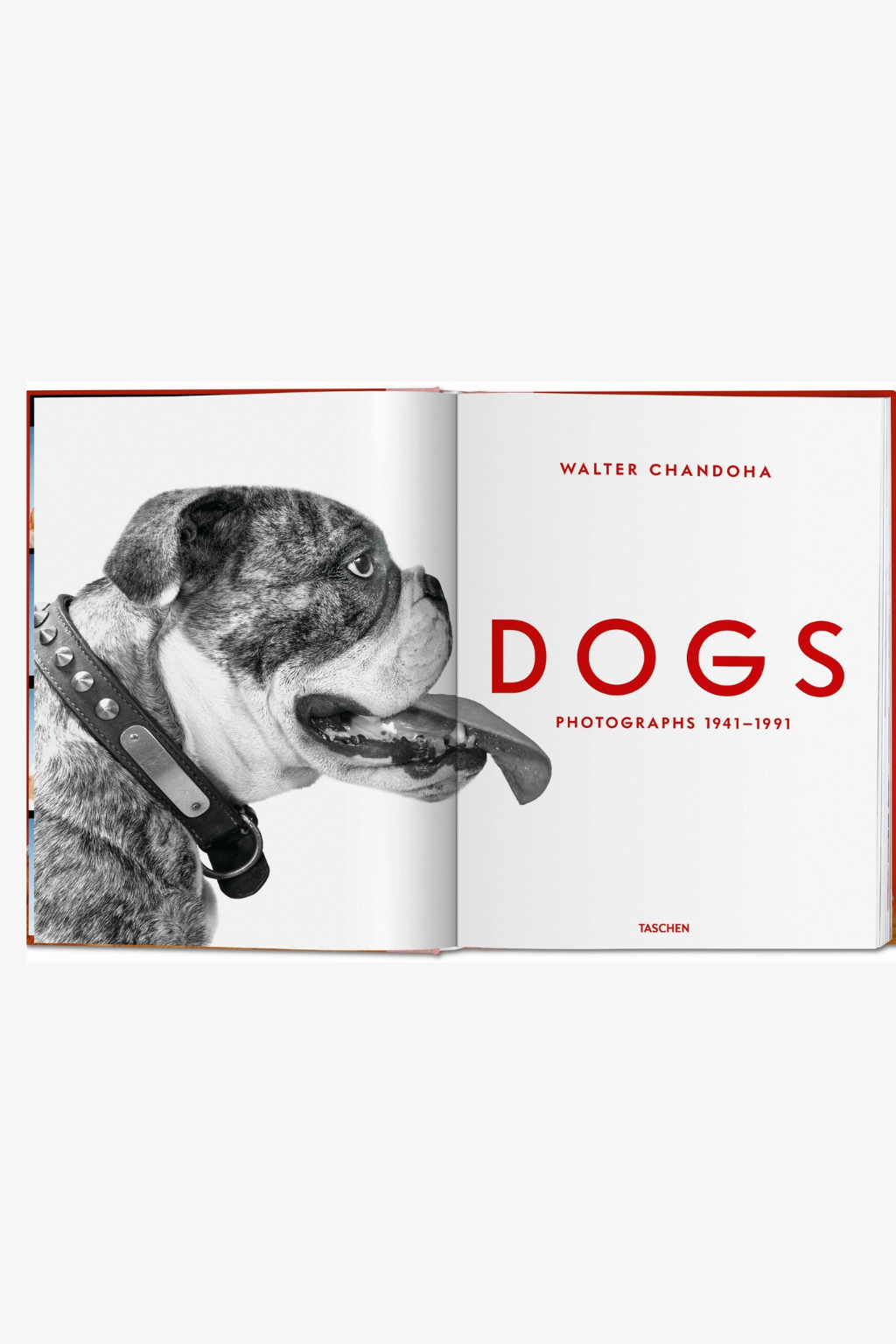 Walter Chandoha. Dogs. Photographs 1941–1991
