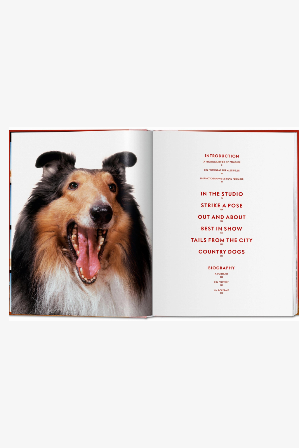 Walter Chandoha. Dogs. Photographs 1941–1991