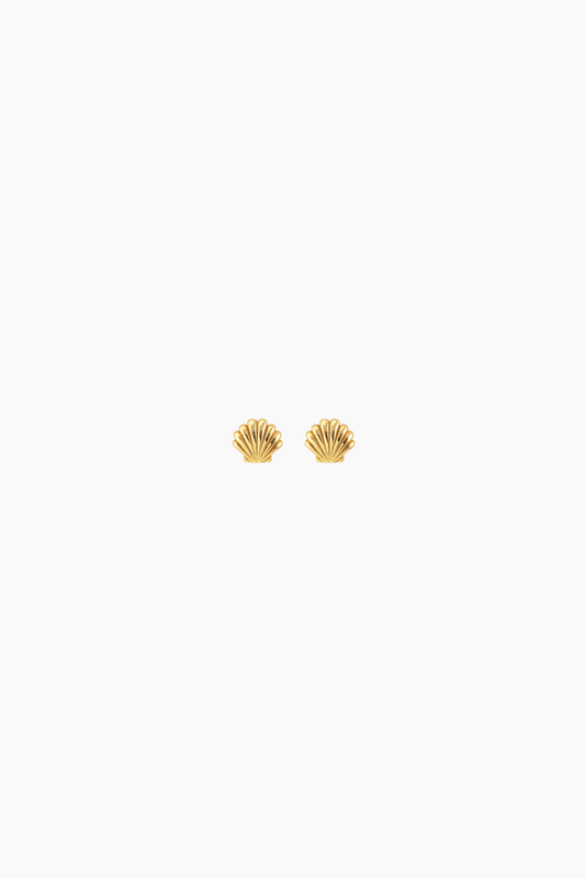Seashell Stud Earrings