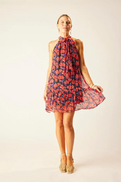 Chiffon Print Indiana Mini Dress