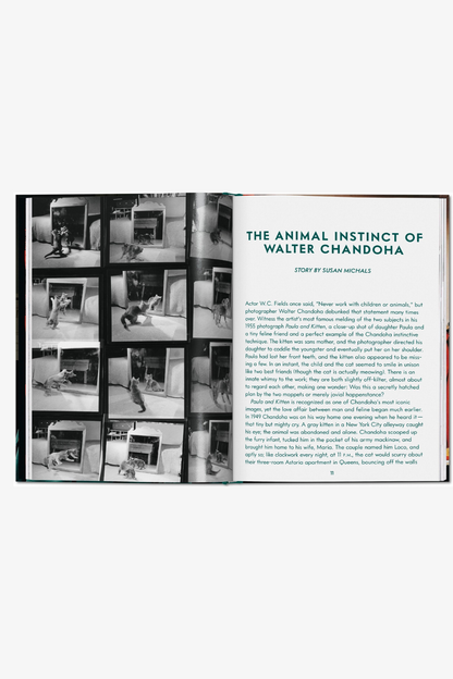 Walter Chandoha. Cats. Photographs 1942–2018