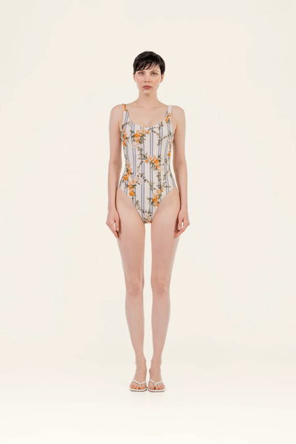 Gema Valle One Piece