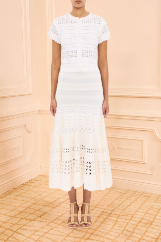 Anissa Eyelet Knit Skirt