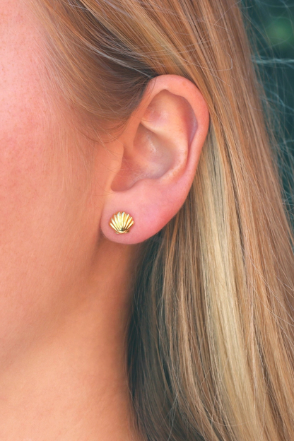 Seashell Stud Earrings