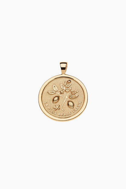 GRATITUDE JW Original Coin Necklace