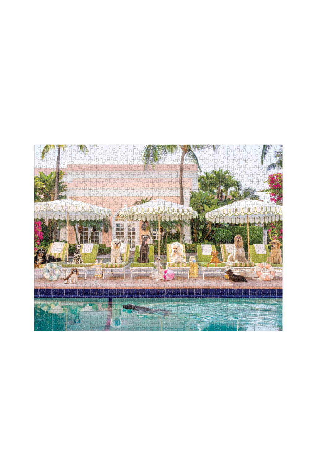 Gray Malin - Palm Beach - 1000 Piece Book Puzzle